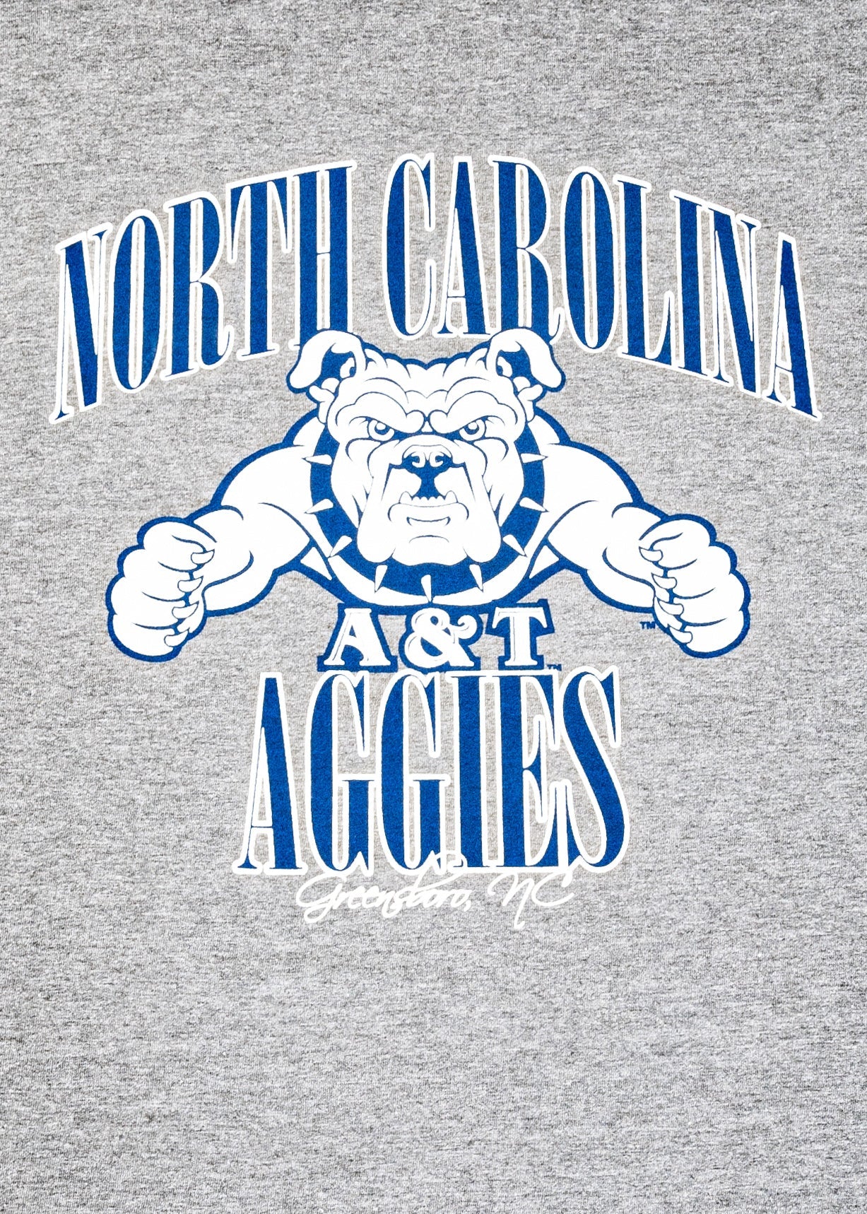 Retro North Carolina A&T Aggies T-Shirt - 9tofive Shop - 95C-AT005GS