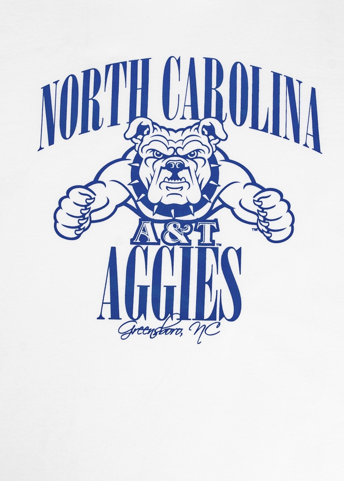 Retro North Carolina A&T Aggies T-Shirt - 9tofive Shop - 95C-AT005GS